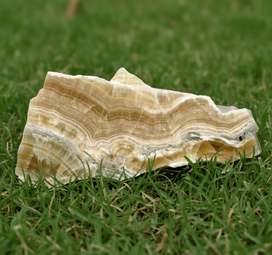 Aragonit - Supreme Panthers