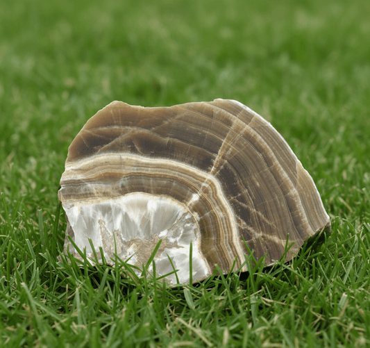 Aragonit - Supreme Panthers