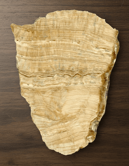 Aragonit leštěný plátek - Supreme Panthers