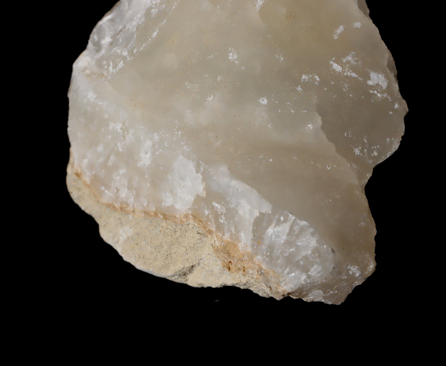 Aragonit sintr - Supreme Panthers