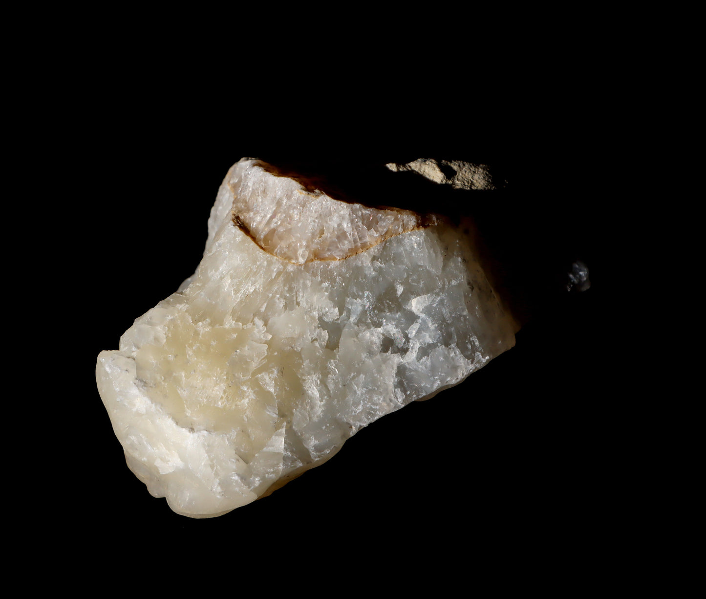 Aragonit sintr - Supreme Panthers