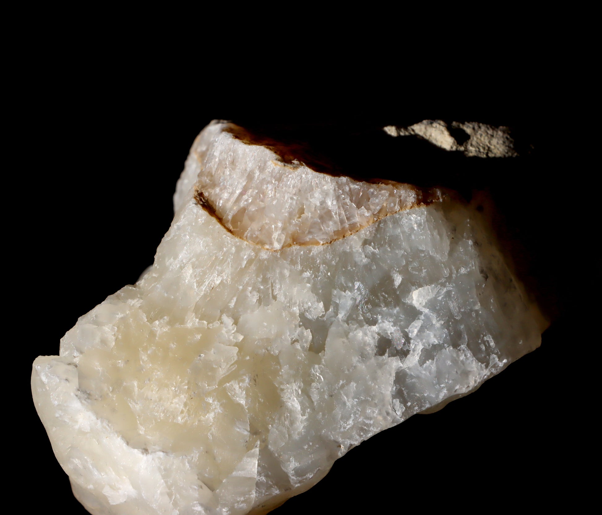 Aragonit sintr - Supreme Panthers