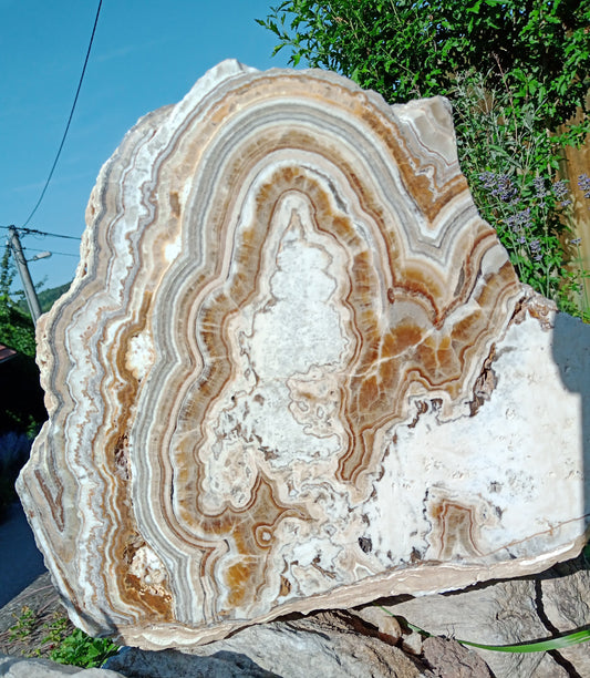 Aragonitový krápník - Supreme Panthers