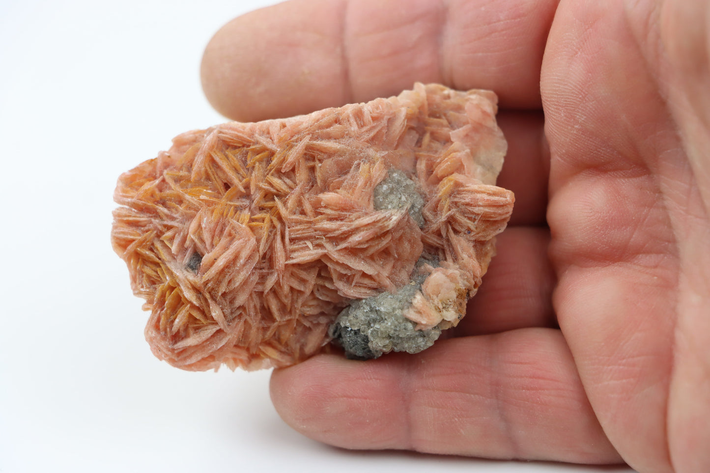 Barytová drúza na podložce - Supreme Panthers