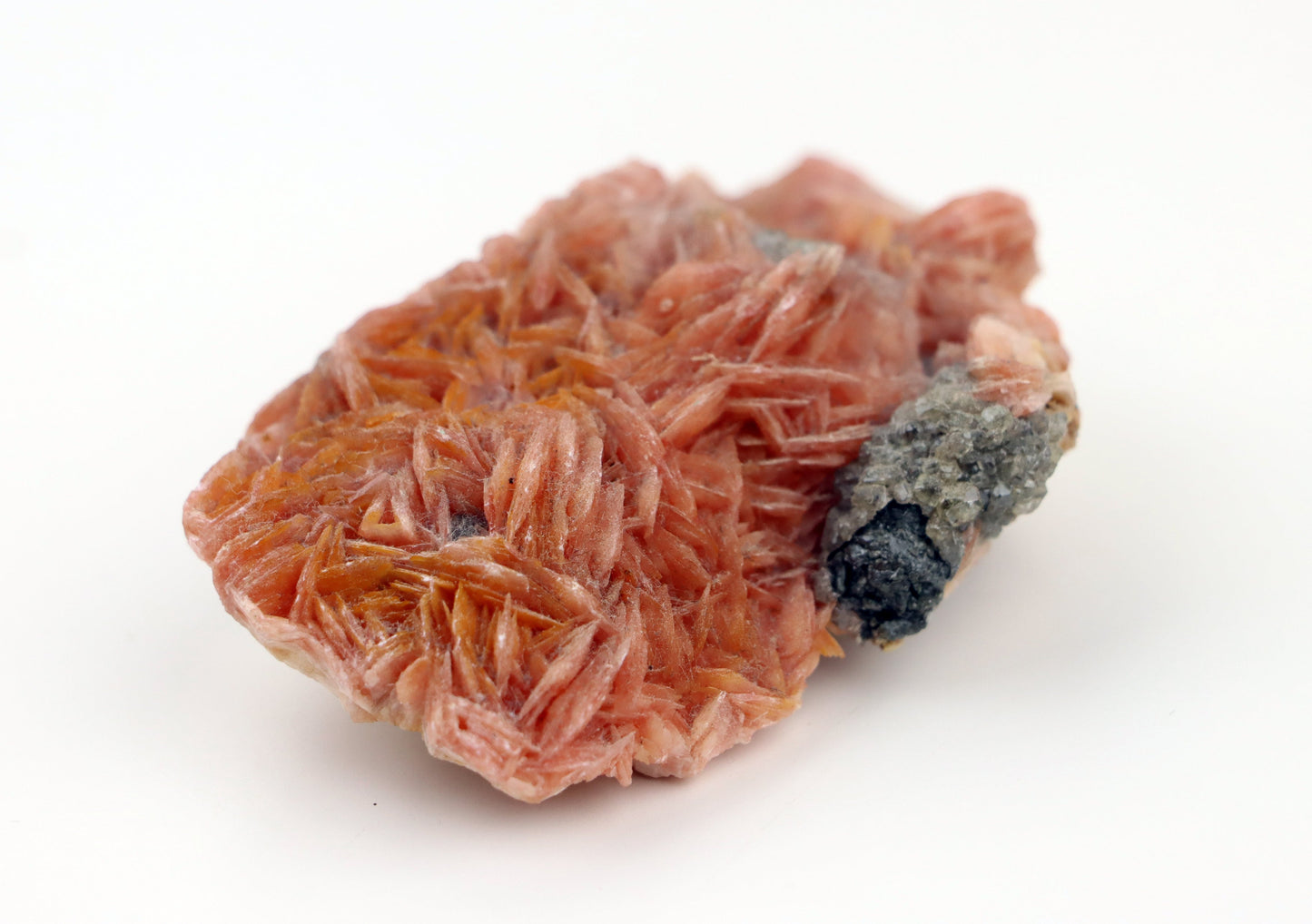 Barytová drúza na podložce - Supreme Panthers