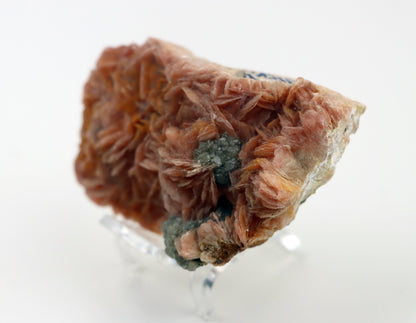 Barytová drúza na podložce - Supreme Panthers