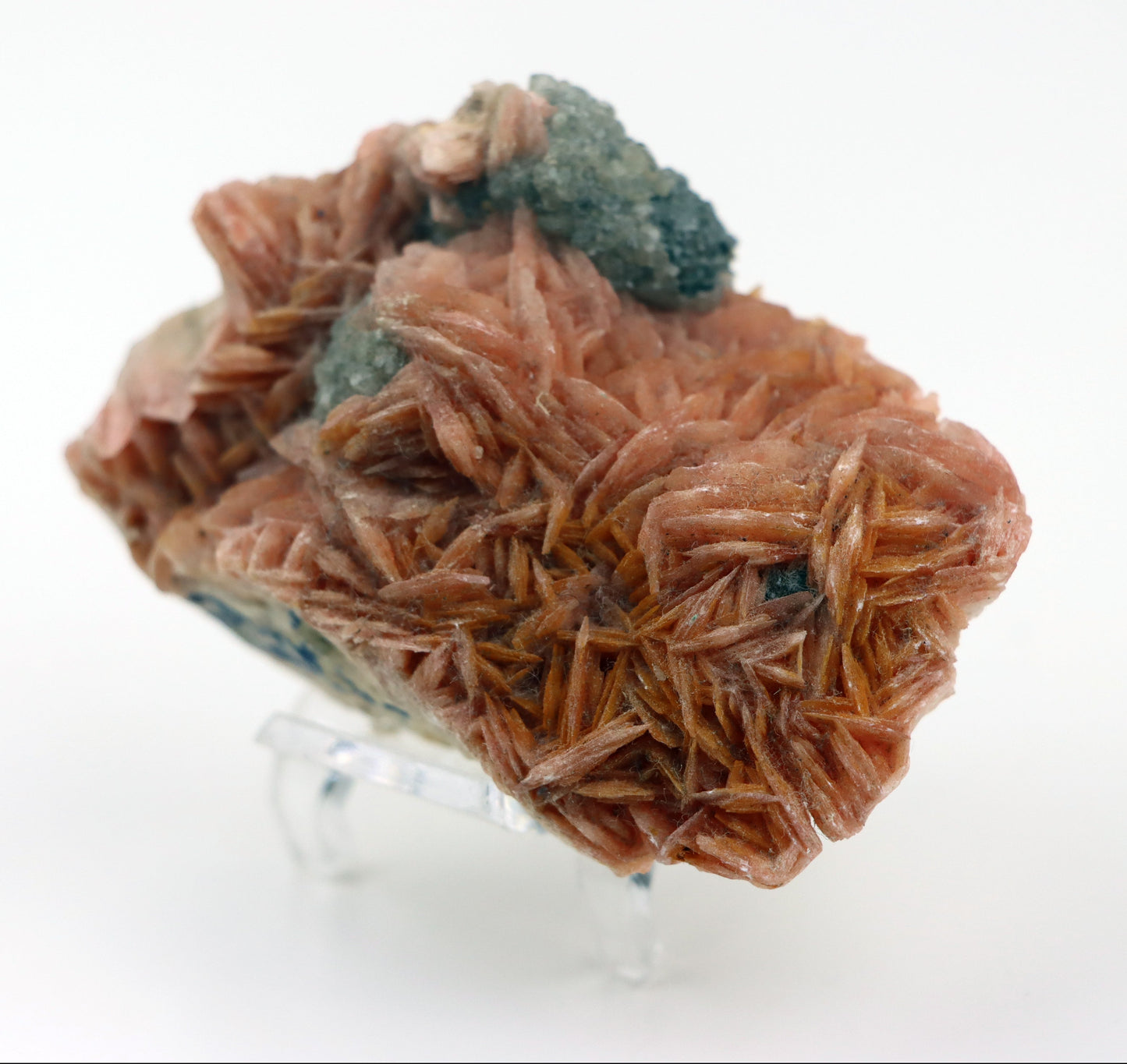 Barytová drúza na podložce - Supreme Panthers