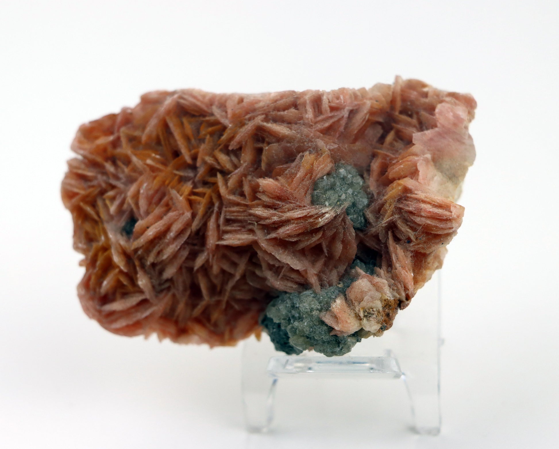 Barytová drúza na podložce - Supreme Panthers