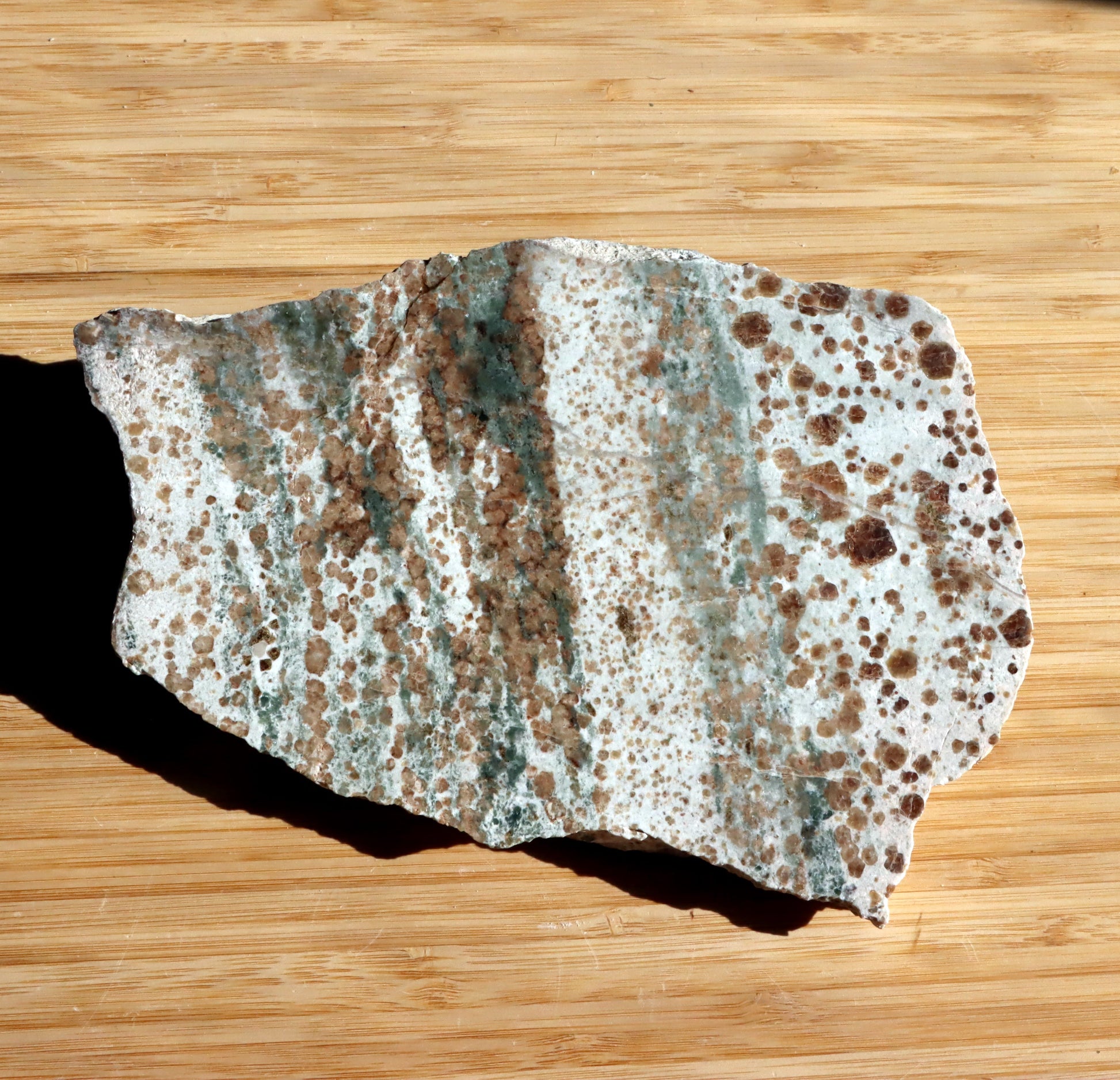 Bludovit "dalmatin" - Supreme Panthers