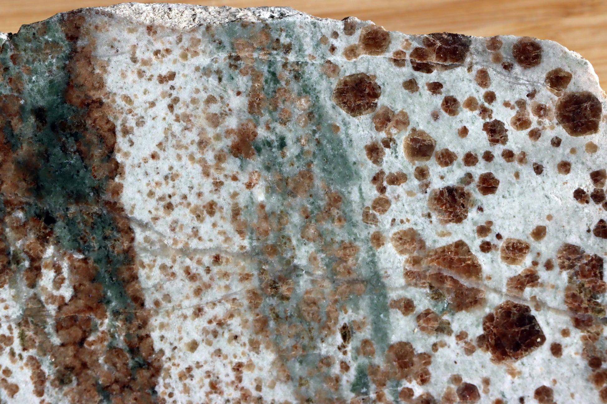 Bludovit "dalmatin" - Supreme Panthers