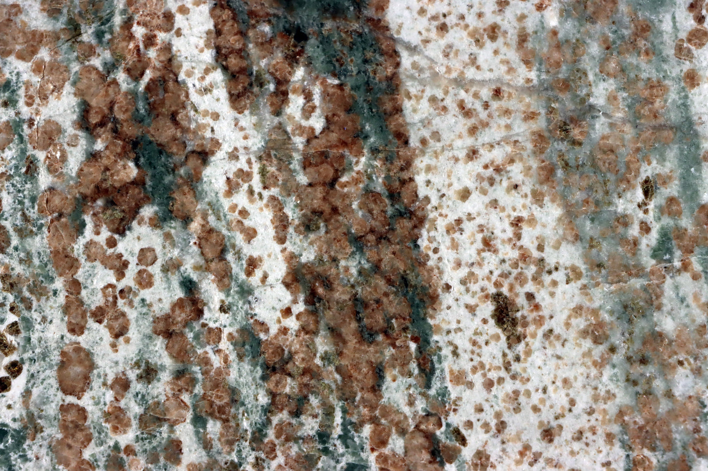 Bludovit "dalmatin" - Supreme Panthers