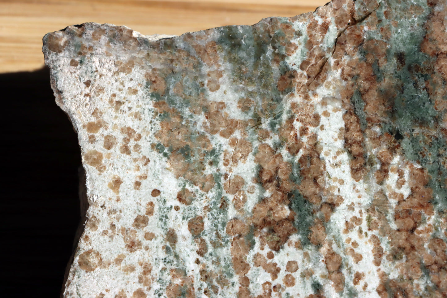 Bludovit "dalmatin" - Supreme Panthers