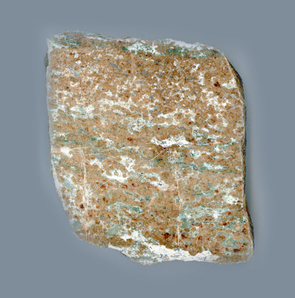 Bludovit granátovec - Supreme Panthers