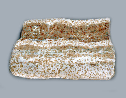 Bludovit granátovec - Supreme Panthers