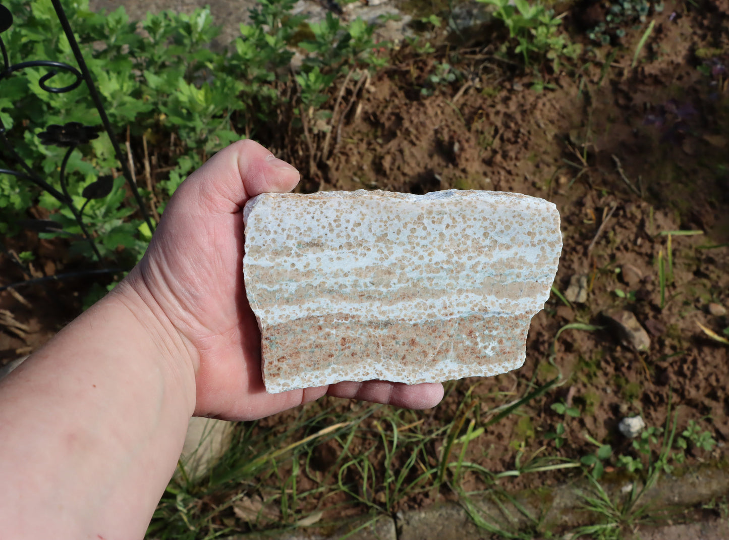 Bludovit granátovec - Supreme Panthers