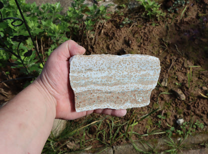 Bludovit granátovec - Supreme Panthers