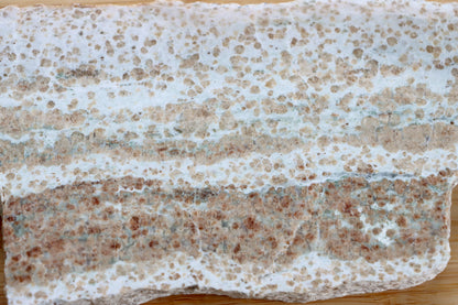 Bludovit granátovec - Supreme Panthers