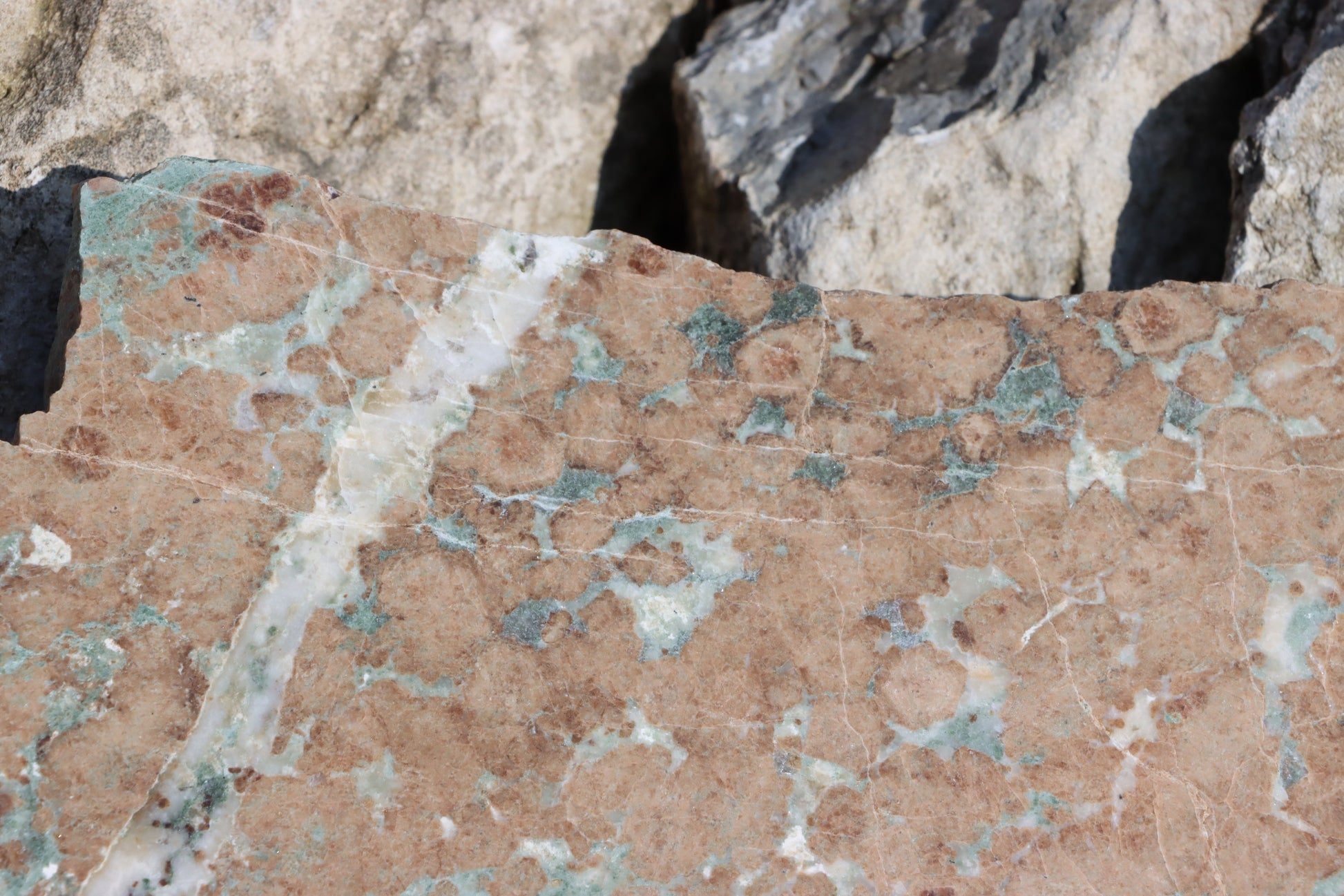 Bludovit "rubín v zoisitu" - Supreme Panthers