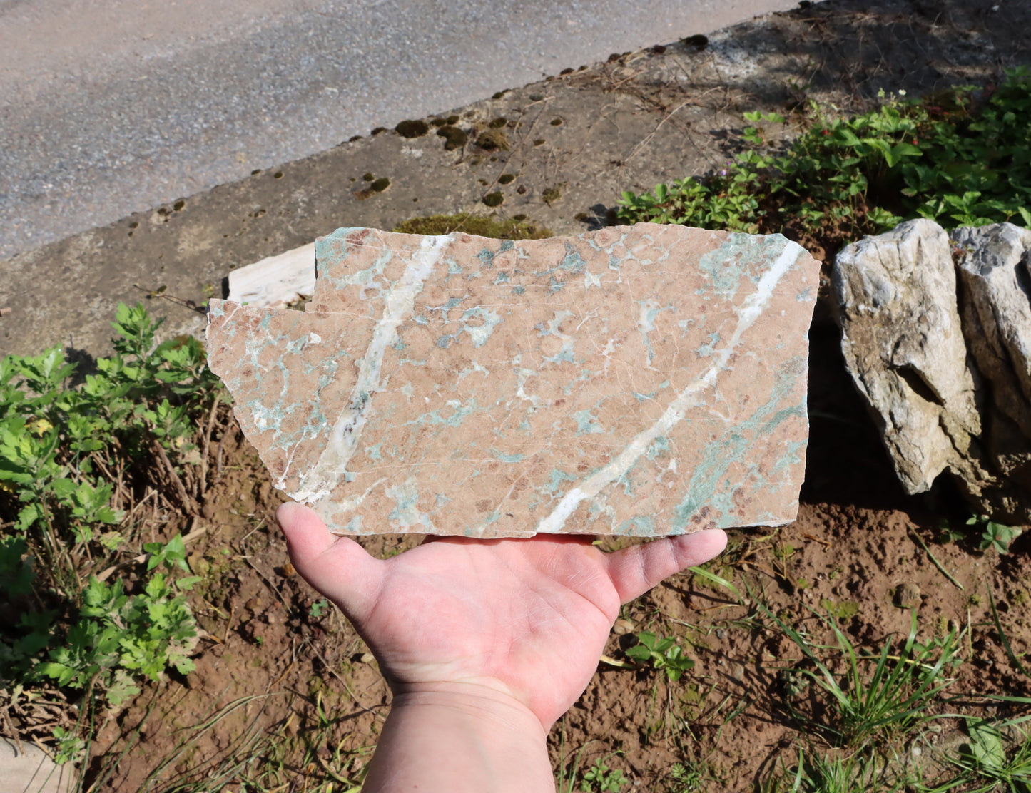 Bludovit "rubín v zoisitu" - Supreme Panthers