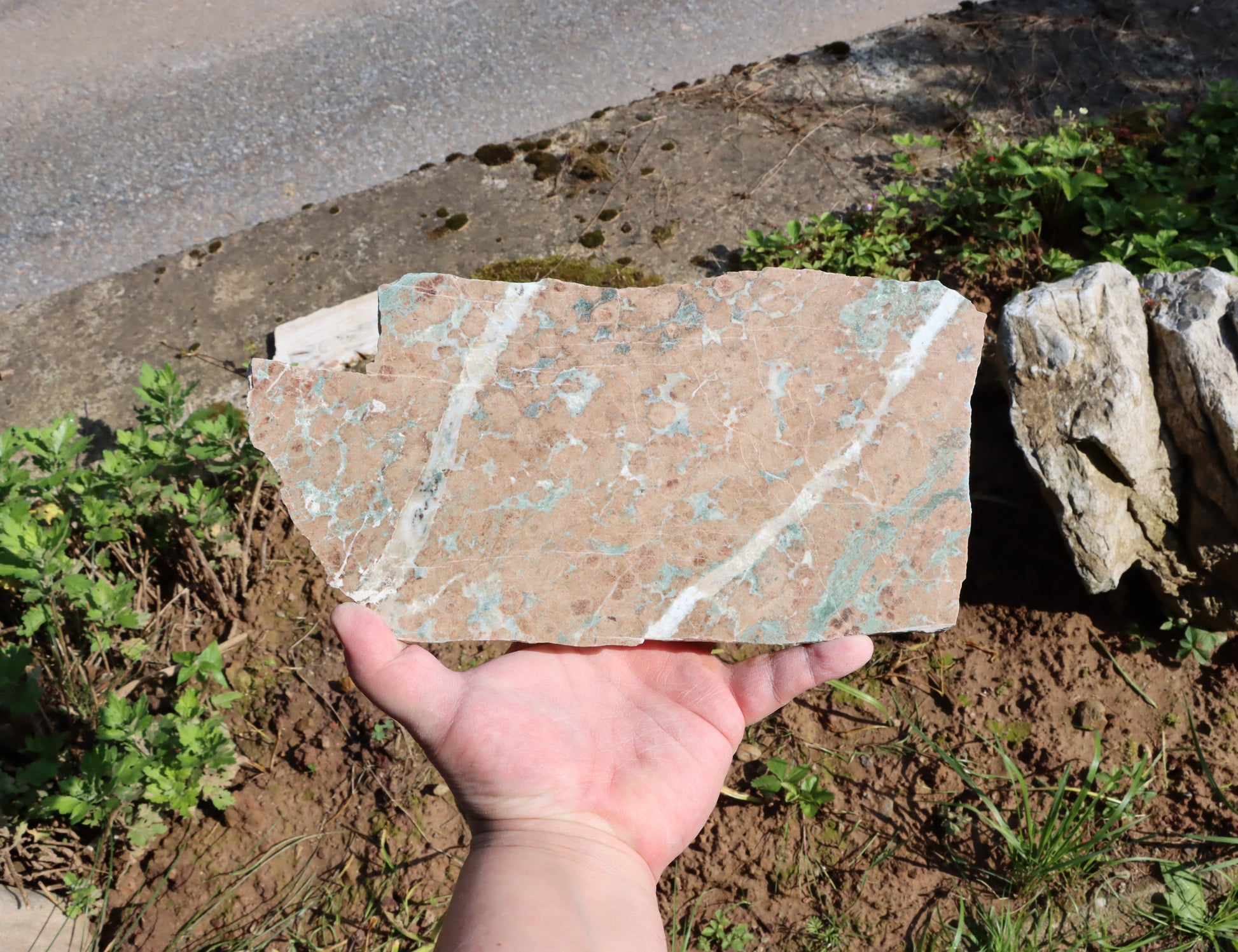 Bludovit "rubín v zoisitu" - Supreme Panthers