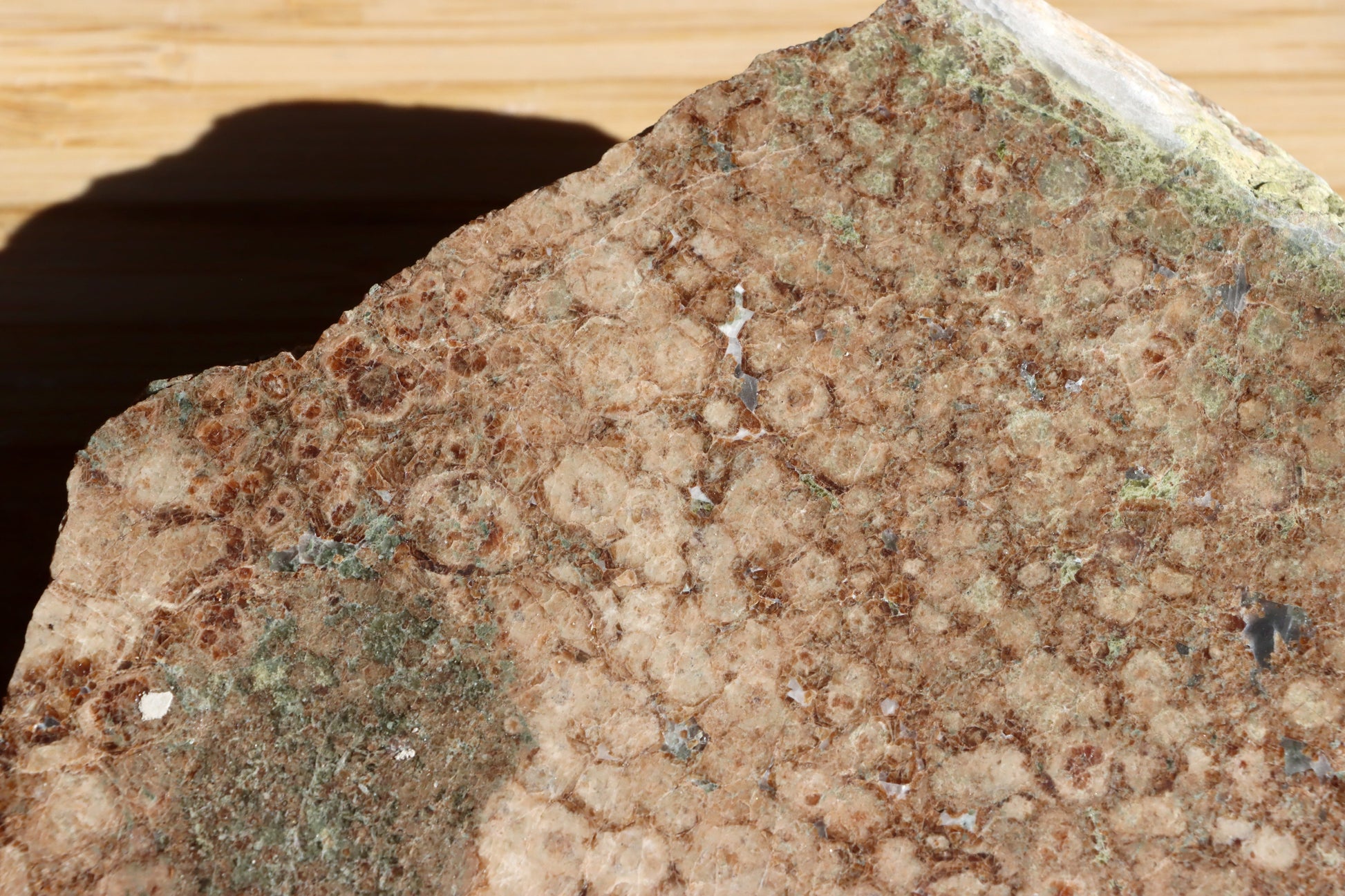 Bludovit s několikageneračními granáty - Supreme Panthers