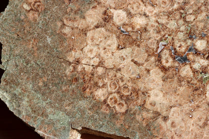 Bludovit s několikageneračními granáty - Supreme Panthers