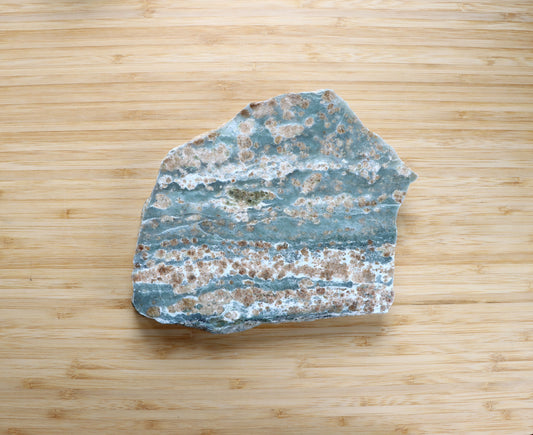 Bludovit s tyrkysovým pozadím - Supreme Panthers