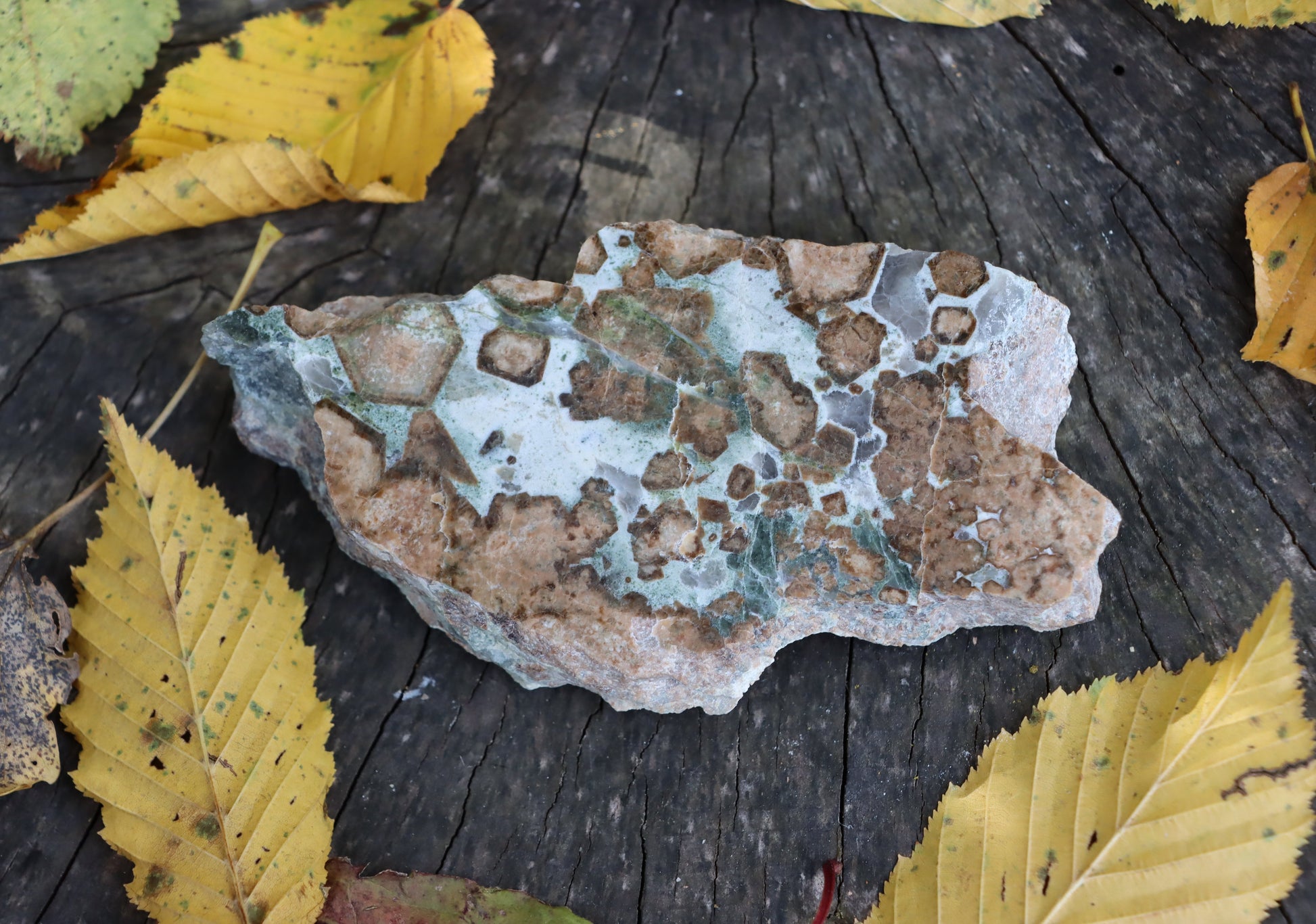 Bludovit s velkými grosuláry "rubín v zoisitu" - Supreme Panthers