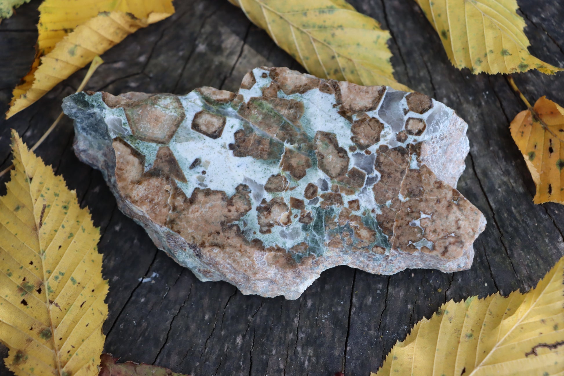 Bludovit s velkými grosuláry "rubín v zoisitu" - Supreme Panthers