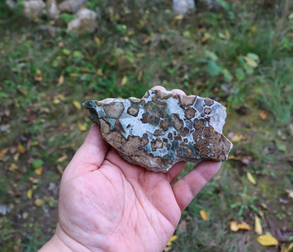 Bludovit s velkými grosuláry "rubín v zoisitu" - Supreme Panthers