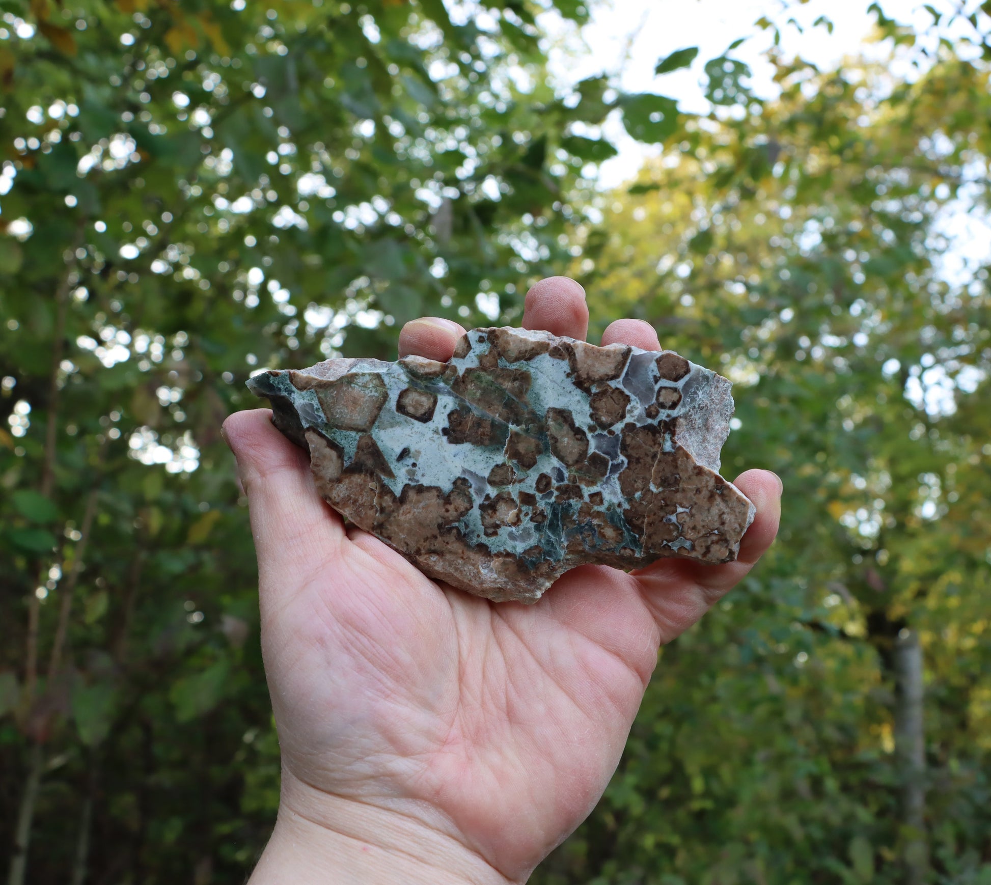 Bludovit s velkými grosuláry "rubín v zoisitu" - Supreme Panthers