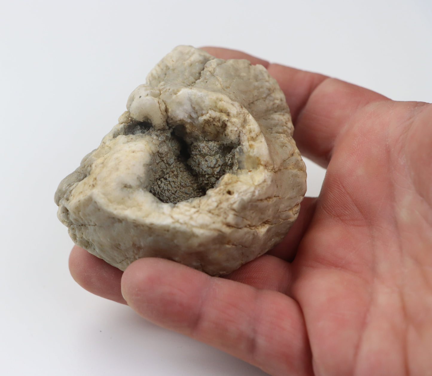 Chalcedon modravo - šedivý v geodě - Supreme Panthers