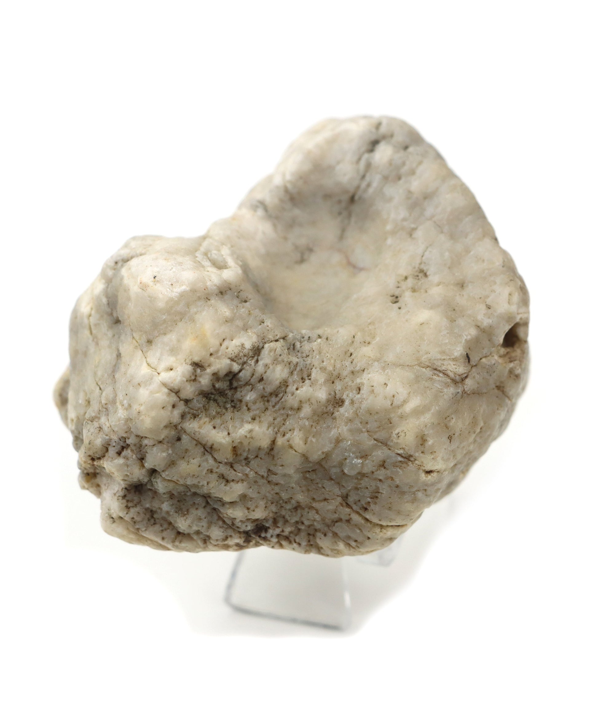 Chalcedon modravo - šedivý v geodě - Supreme Panthers