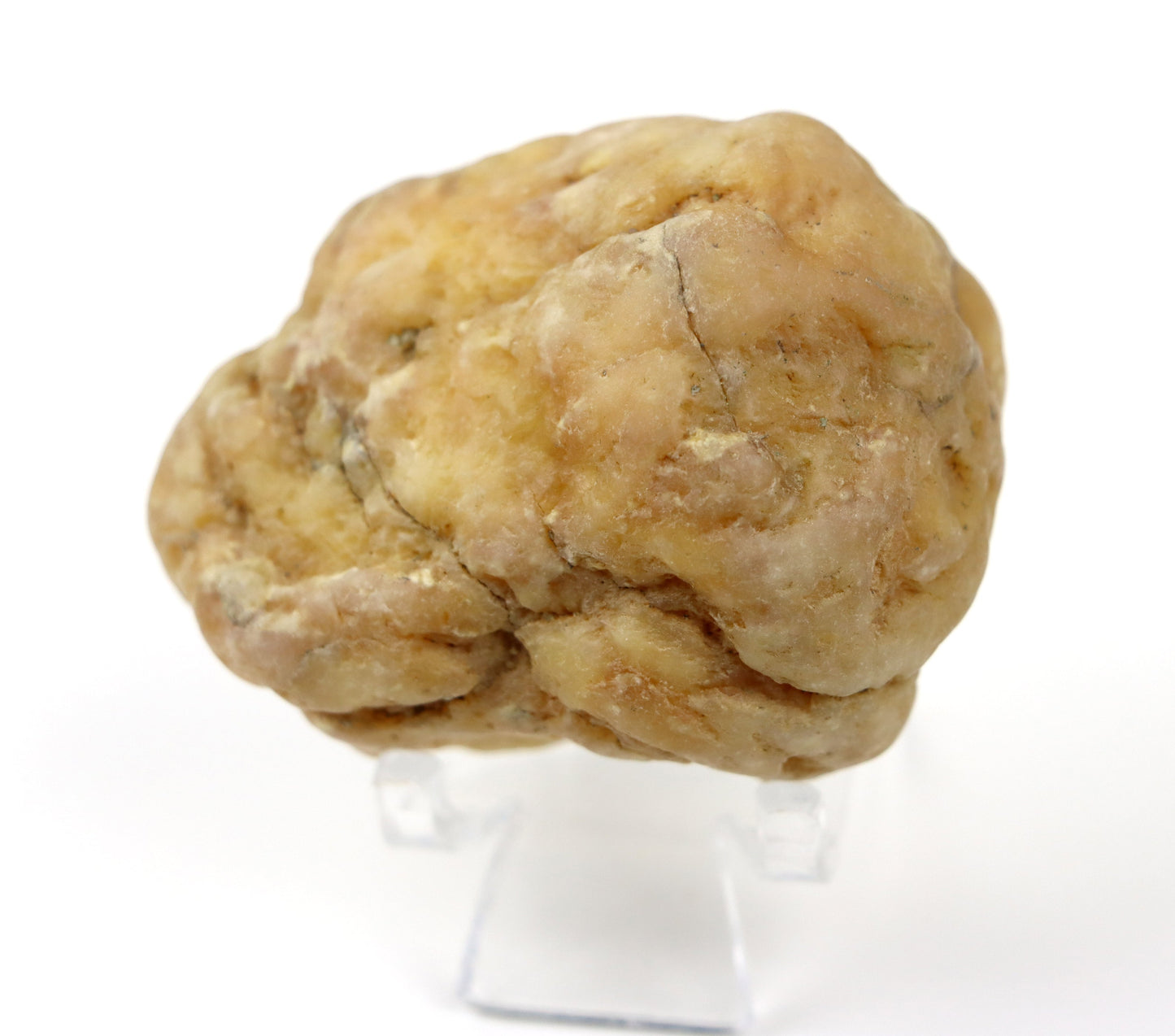 Chalcedon oranžový v geodě - Supreme Panthers