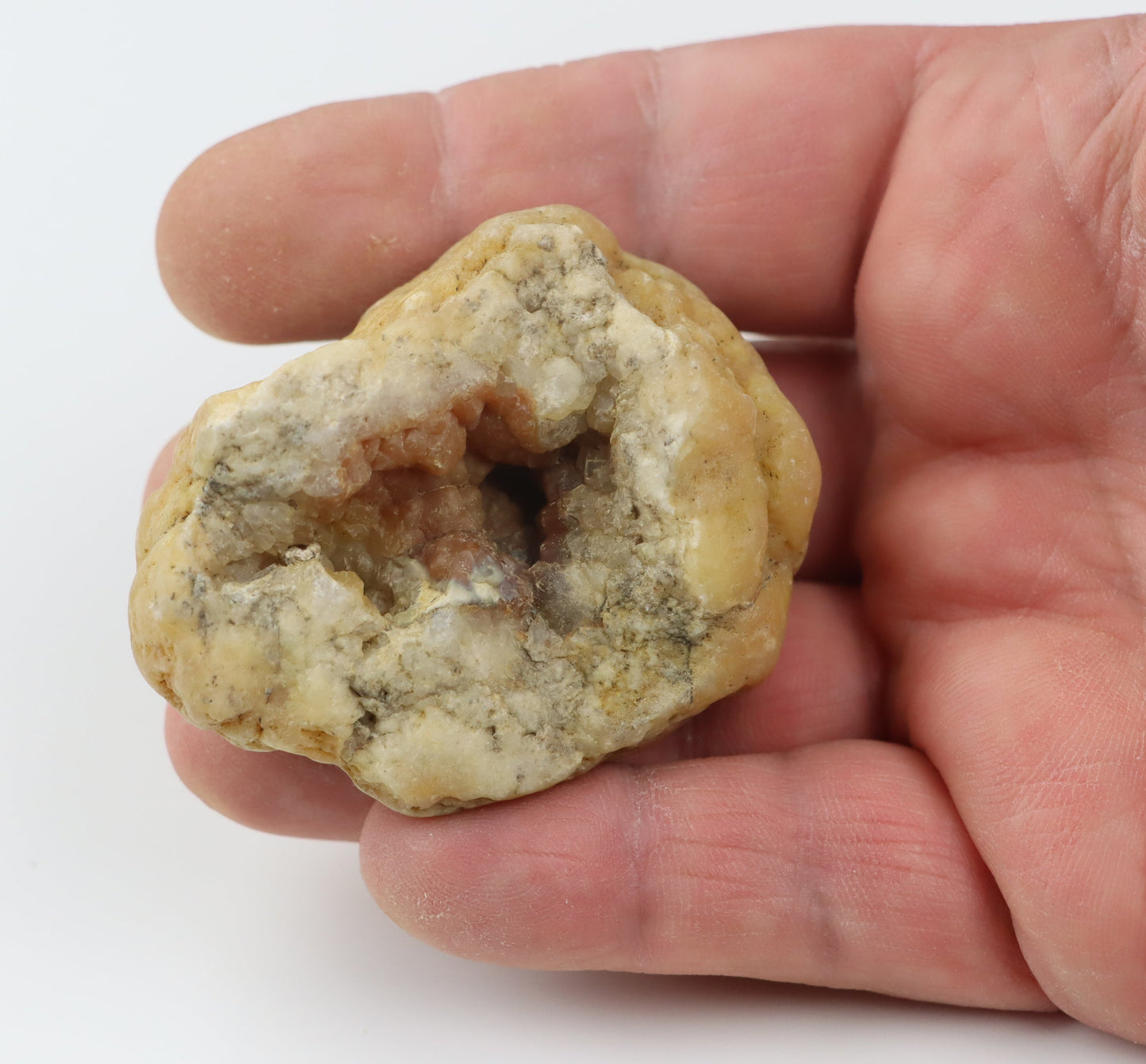 Chalcedon oranžový v geodě - Supreme Panthers