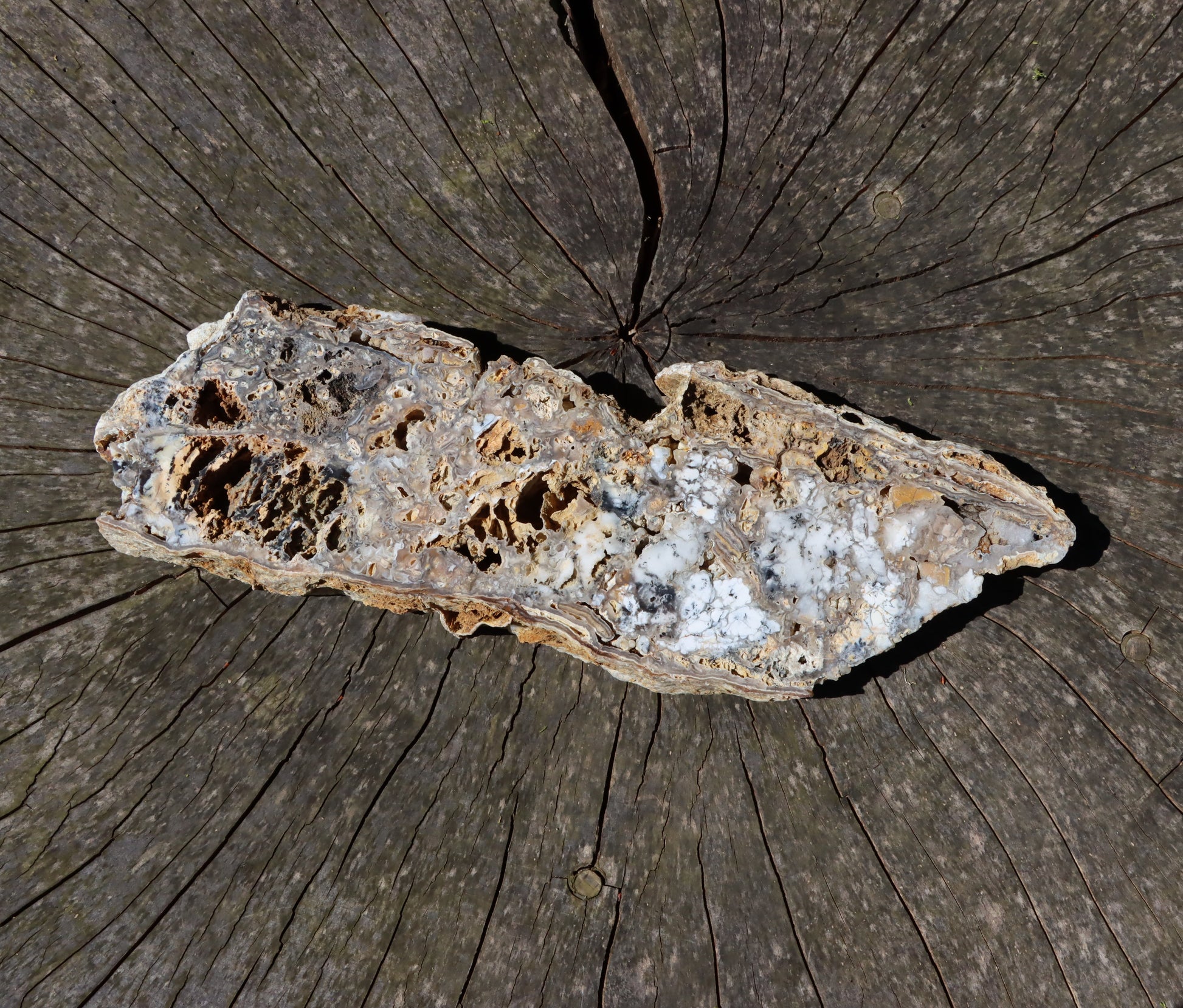 Chalcedon s opálem leštěný plátek moravský - Supreme Panthers