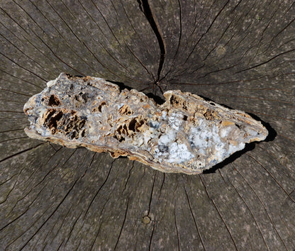 Chalcedon s opálem leštěný plátek moravský - Supreme Panthers