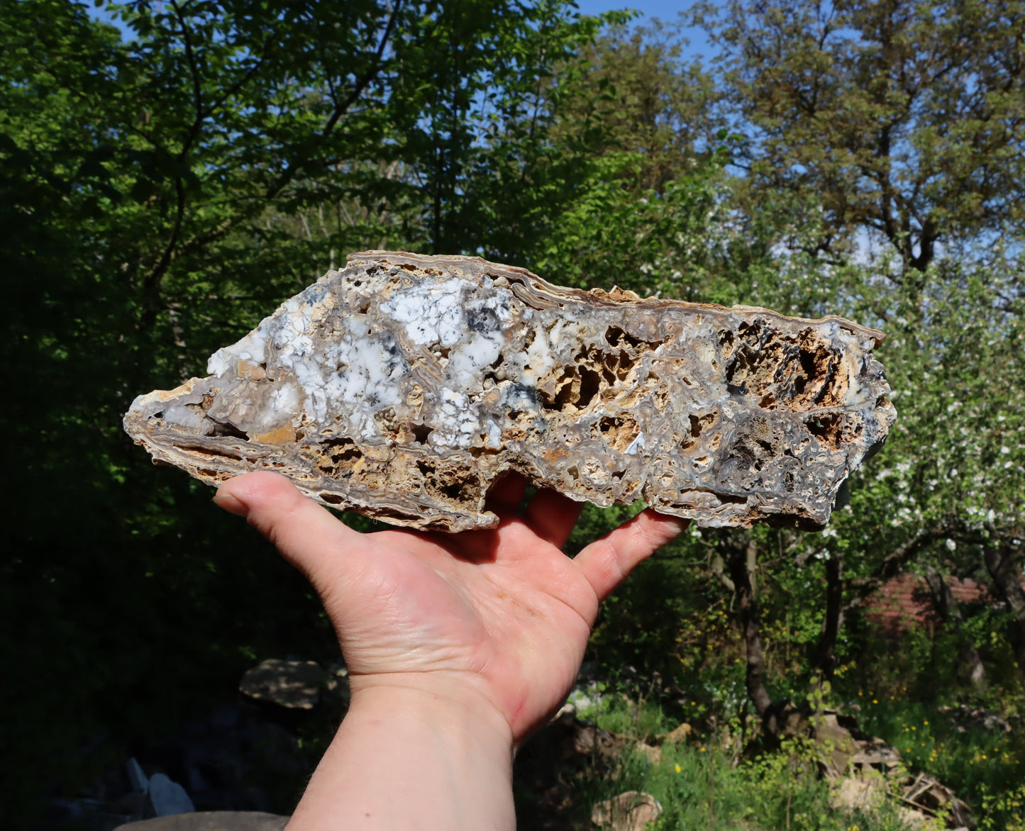 Chalcedon s opálem leštěný plátek moravský - Supreme Panthers