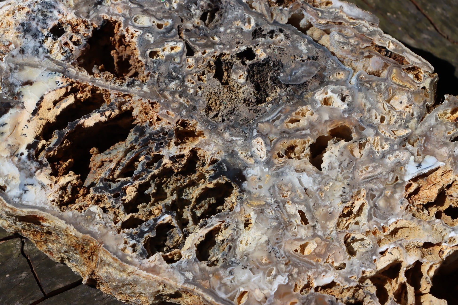 Chalcedon s opálem leštěný plátek moravský - Supreme Panthers