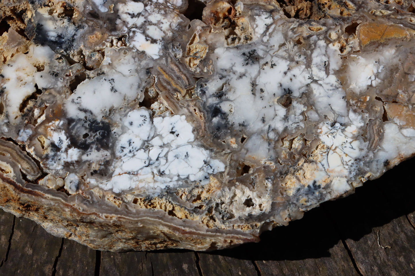 Chalcedon s opálem leštěný plátek moravský - Supreme Panthers