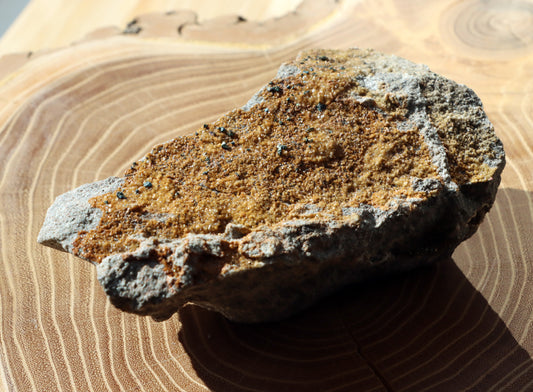 Chalkopyrit ankerit na pískovci - Supreme Panthers