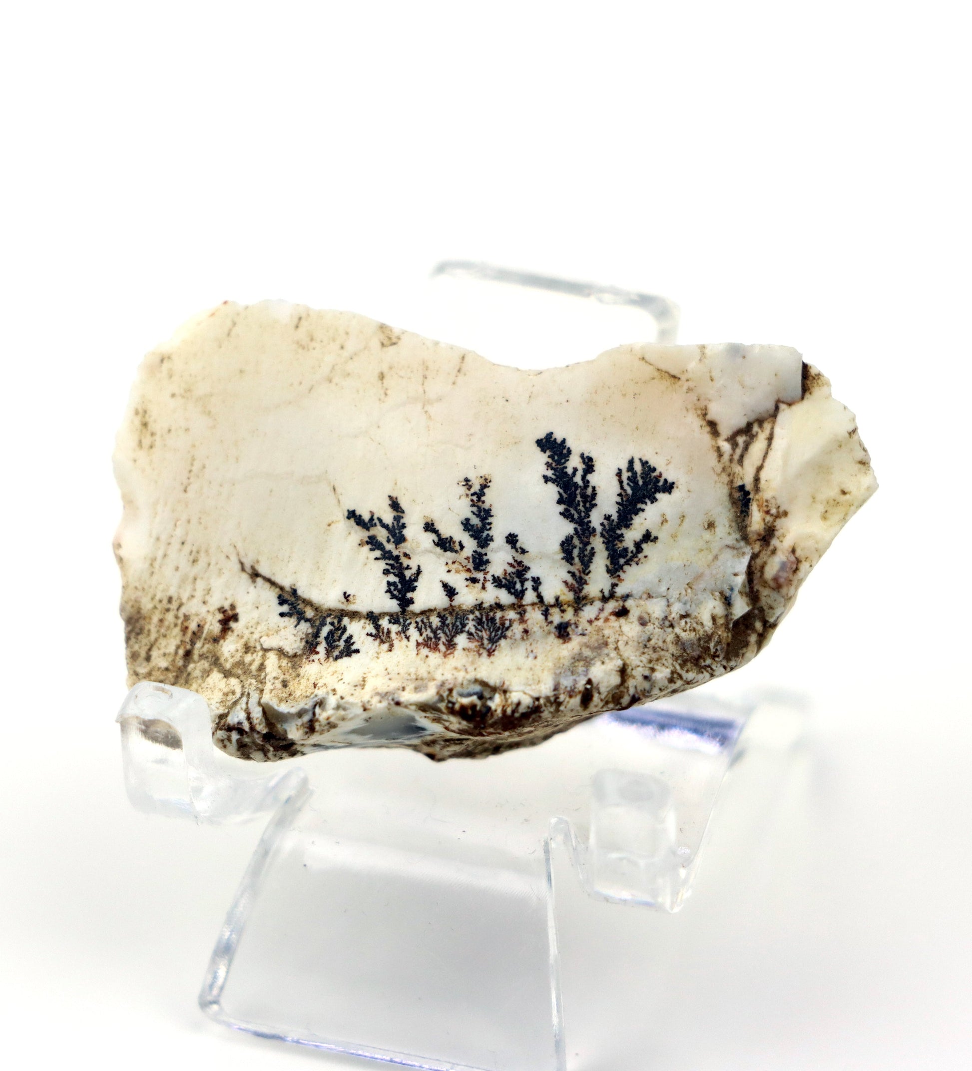 Dendrity - Psilomelan "wad" na opálu - Supreme Panthers