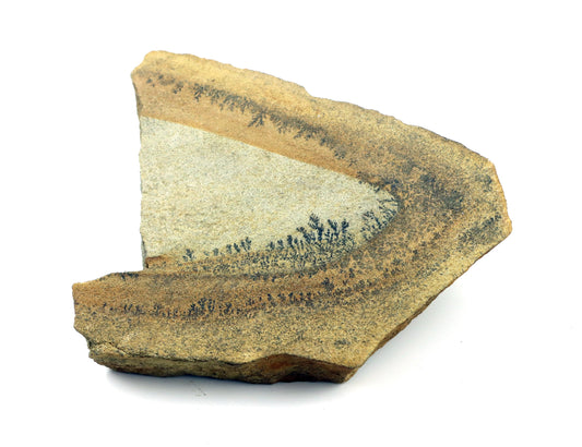 Dendrity wadu na vypáleném pískovci surový - Supreme Panthers