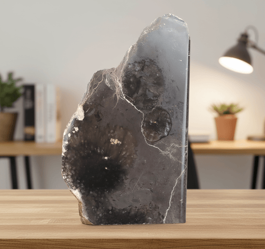 Deskaté a drsnaté korály MONUMENT - Supreme Panthers