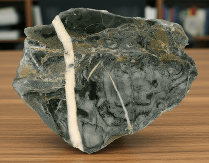 Deskatý korál protnutý bílou kalcitovou žílou, devon, Moravský kras - Supreme Panthers