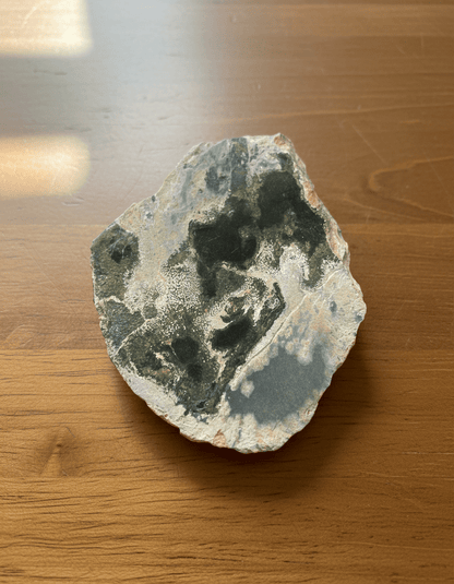 Deskatý korál ve stínavsko - chabičovské břidlici - Supreme Panthers