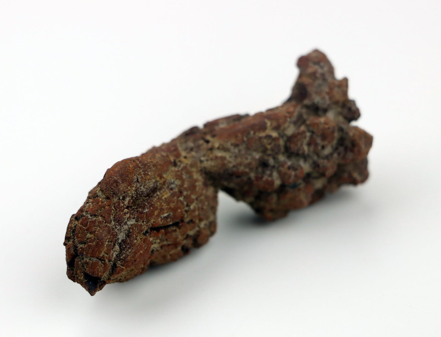 Dinosauří koprolit - Supreme Panthers