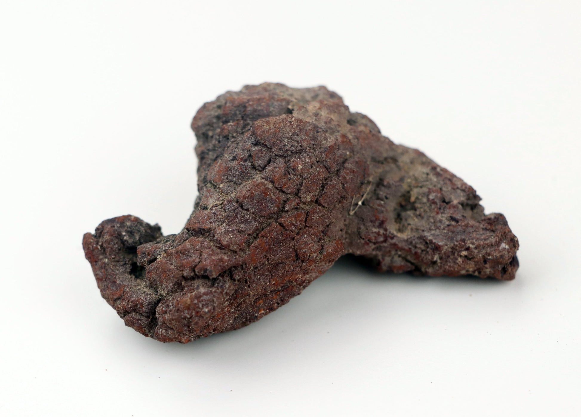 Dinosauří koprolit - Supreme Panthers