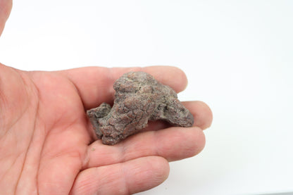 Dinosauří koprolit - Supreme Panthers