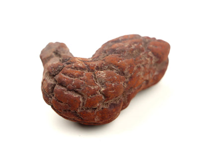 Dinosauří koprolit - Supreme Panthers